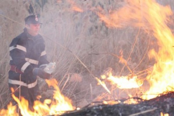 Incendiu stins cu ajutorul poliţiştilor de frontieră